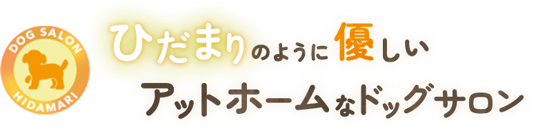 ひだまりのように優しいアットホームなドッグサロン